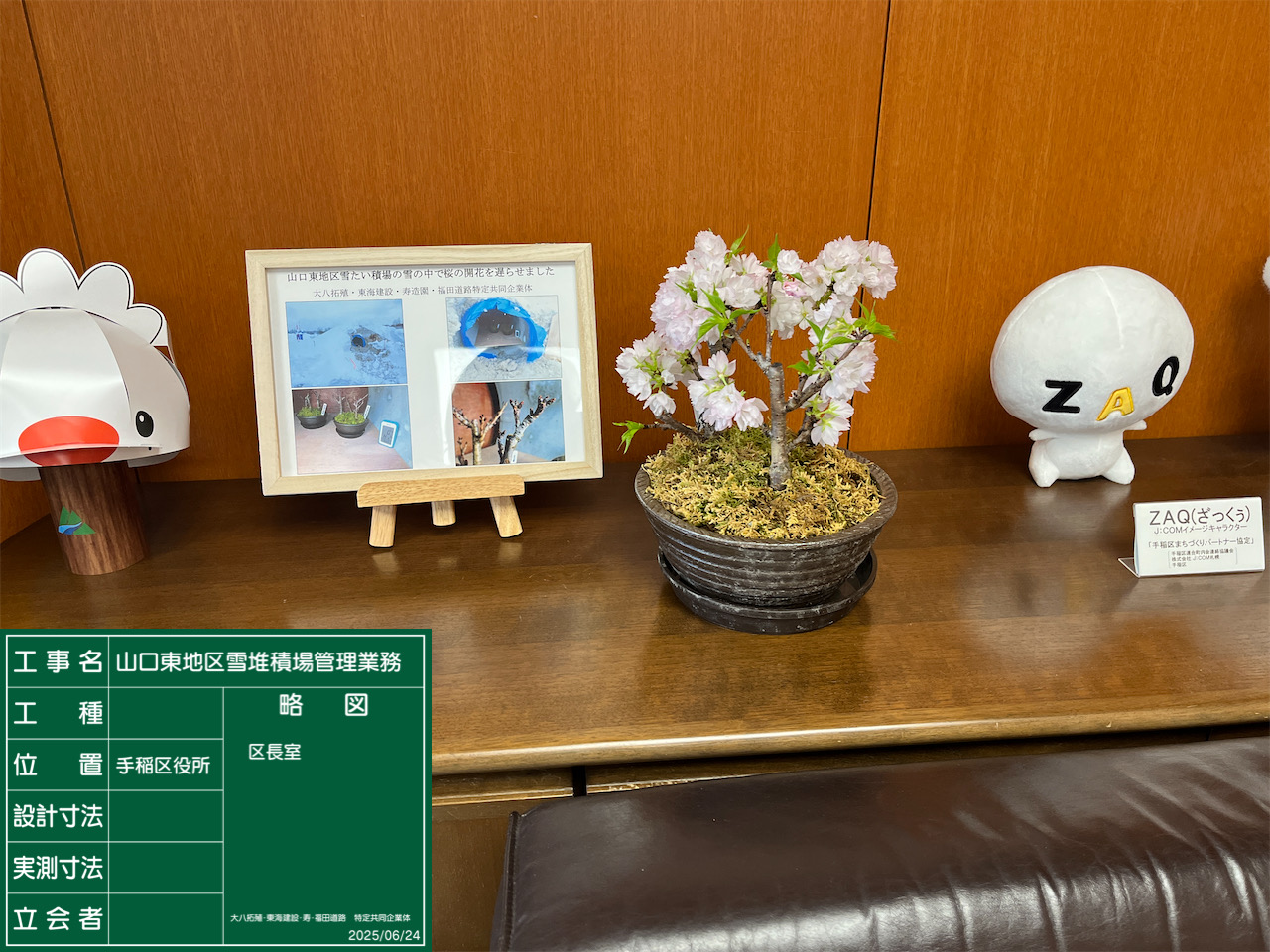 3.雪室による桜の開花遅延