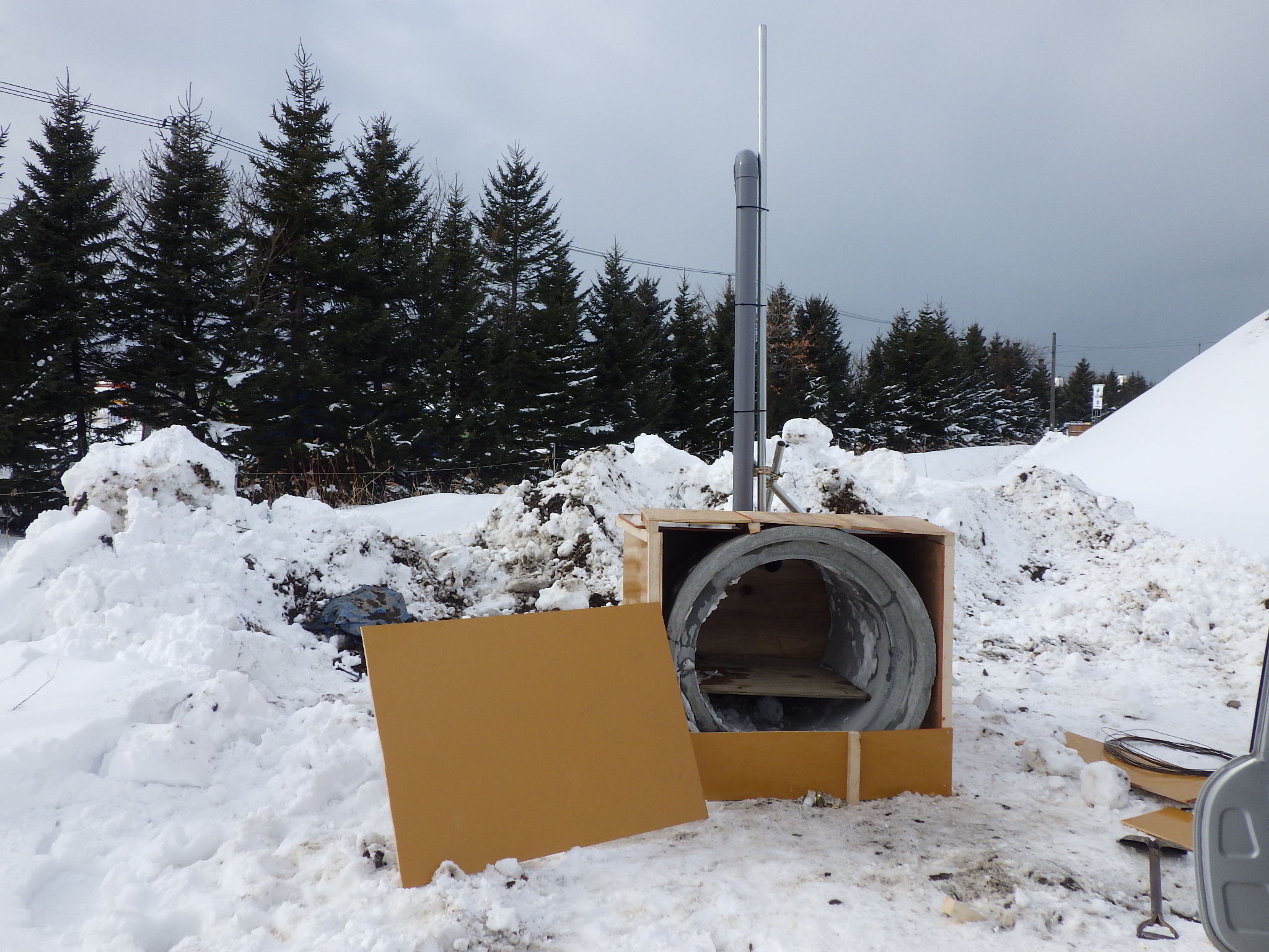 3.雪室による桜の開花遅延