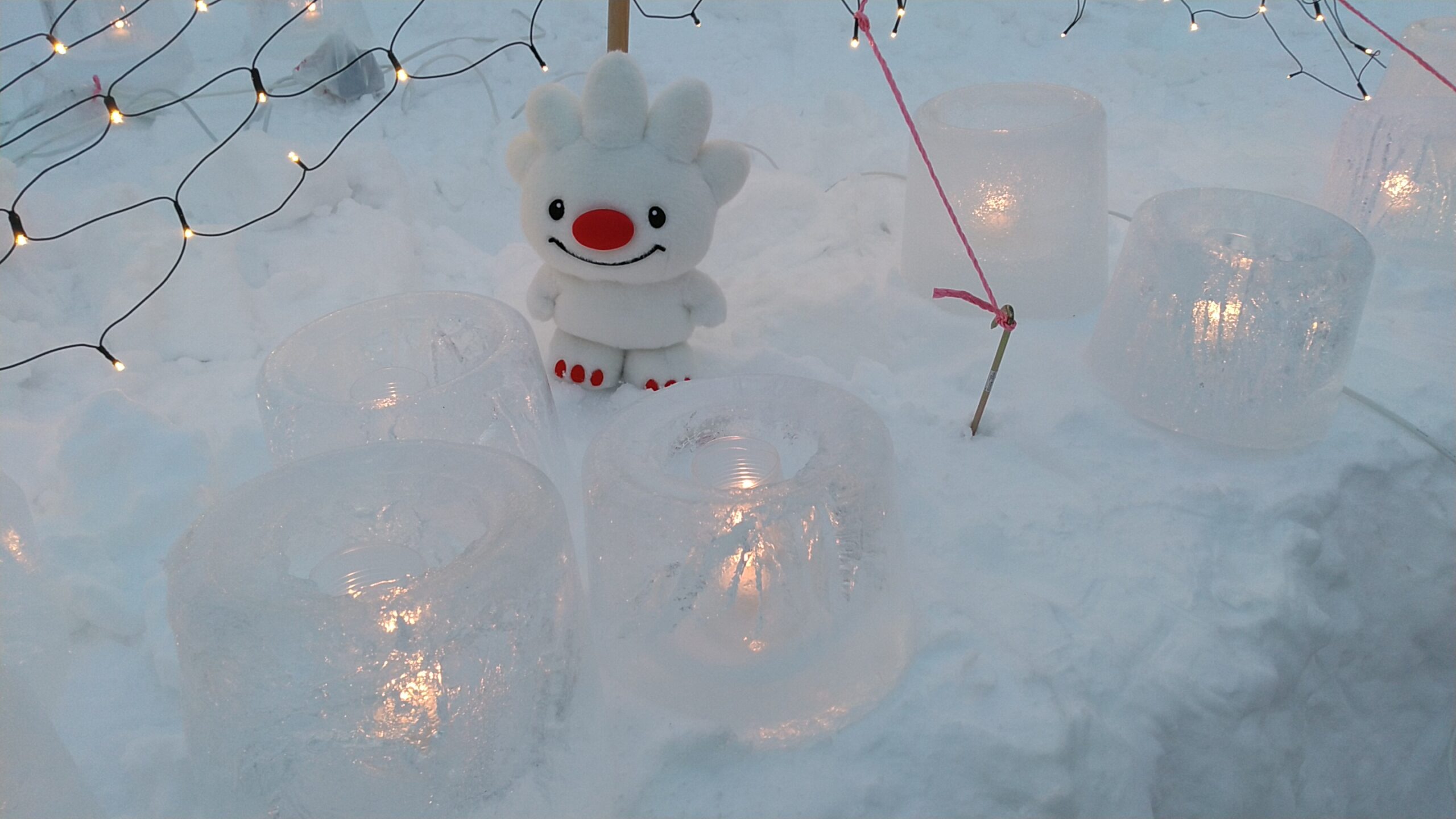 2.アイスキャンドル協力